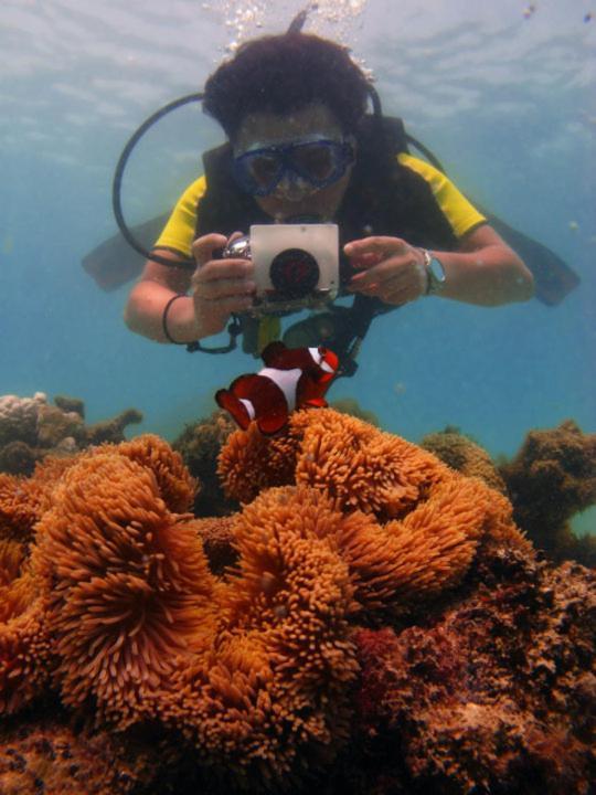 Flora Bay 1 * Pulau Perhentian Besar